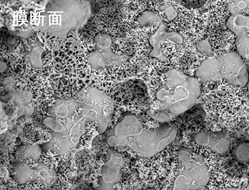 ���������ս��ʽĤ�羵��Ƭ