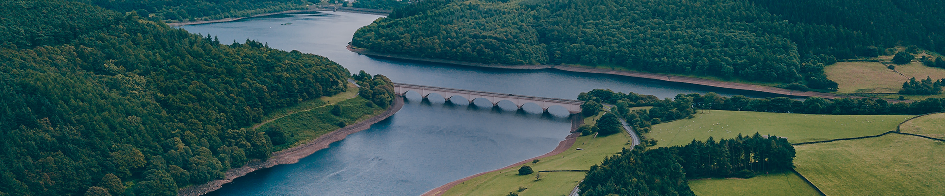 ����� | �ٷ���վ