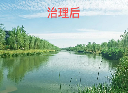 ����� | �ٷ���վ