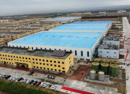 ����� | �ٷ���վ