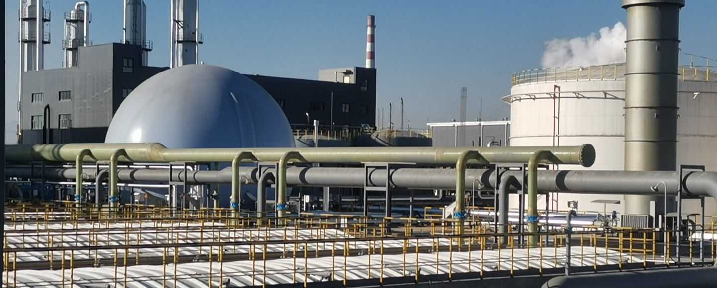 ����� | �ٷ���վ