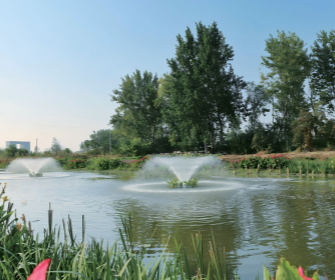 ����� | �ٷ���վ